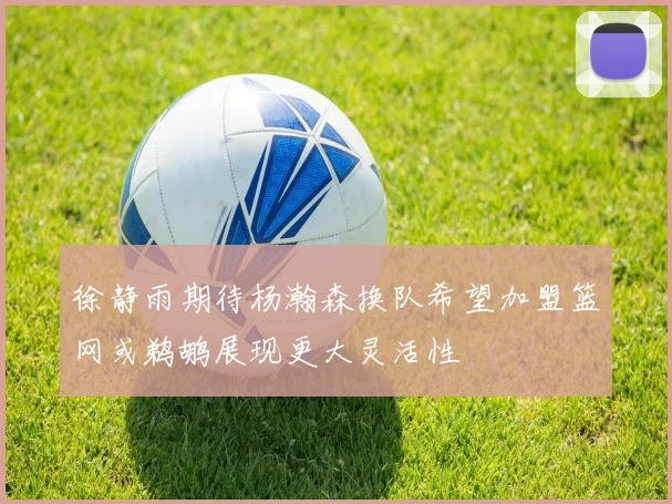 徐静雨期待杨瀚森换队希望加盟篮网或鹈鹕展现更大灵活性