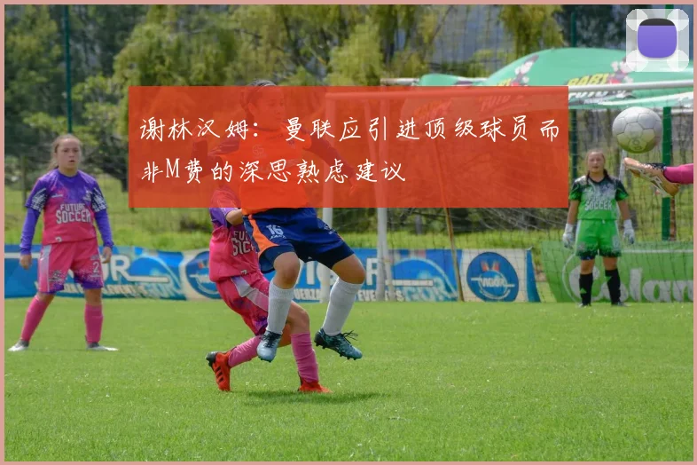 谢林汉姆：曼联应引进顶级球员而非M费的深思熟虑建议